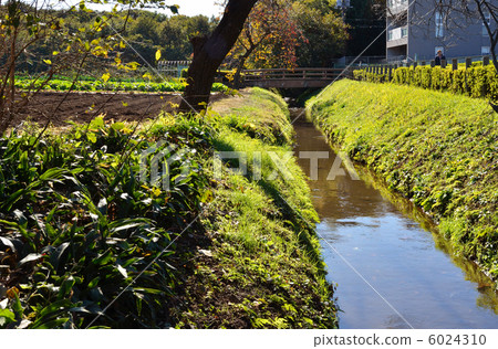 走向武藏野·用於點火的水流 走向武藏野·用於點火的水流 6024310
