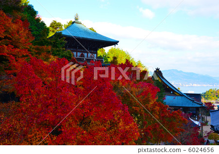 The cathedral 6024656