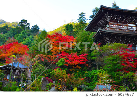 The cathedral 6024657