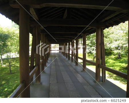 京都東福寺 6025249