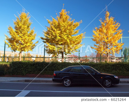 Fall scenery, 2 6025264