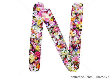 Flower alphabet 6025373