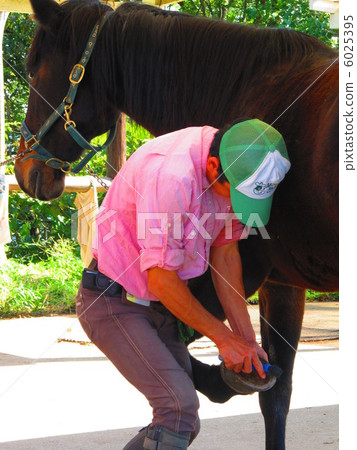 騎馬去照顧蹄子 騎馬去照顧蹄子 6025395