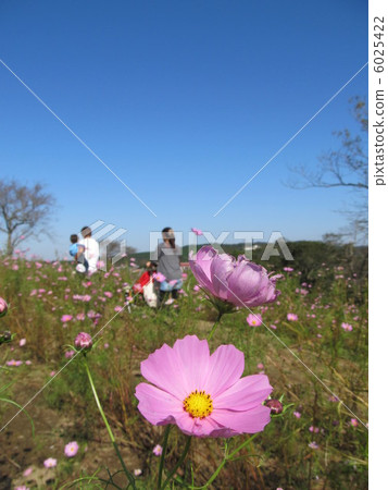 宇宙家庭去家庭 6025422