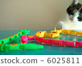 Cats and snake toys Cats and snake toys 6025811