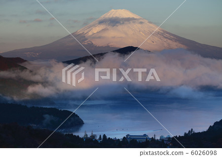 In the morning sun In the morning sun 6026098