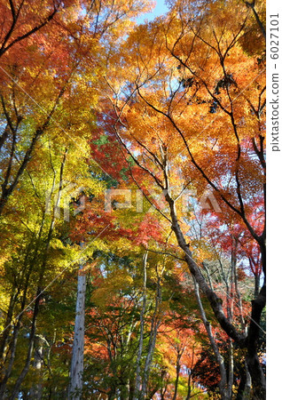 Korohiroku離開H. 24年 6027101