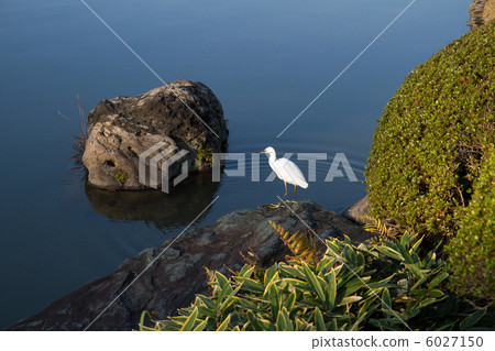 安靜的時間 6027150