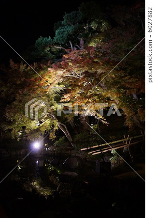 Hasedaji autumn leaves light up Hasedaji autumn leaves light up 6027882