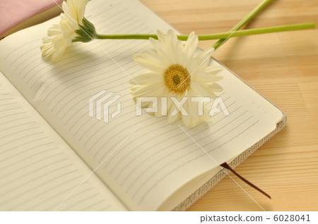 White Gerbera and schedule book 6028041