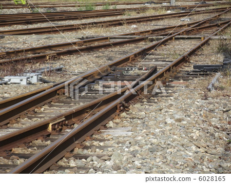 branch point  6028165