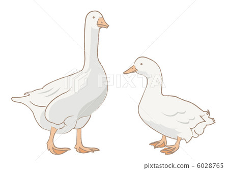 Ducks and geese Ducks and geese 6028765