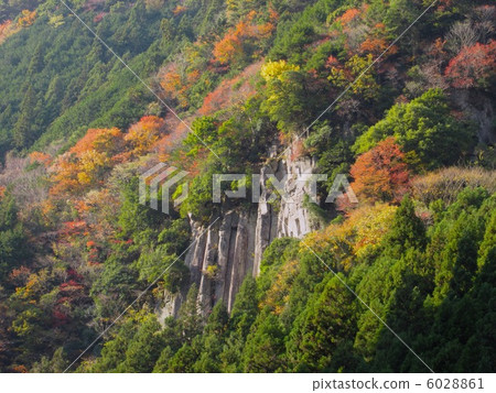The autumnal leaves of Kaoru Ogi (deer falling rock) "Murore Redeme Aoyama National Park" 6028861