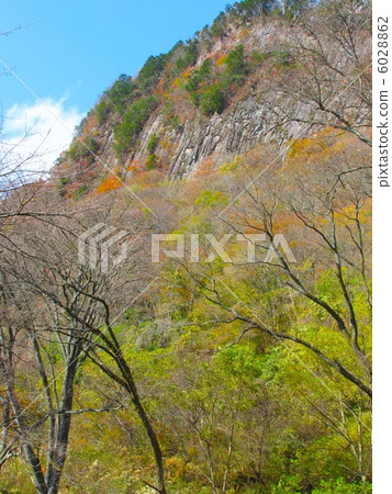 折疊屋頂花園的秋天“國家指定天然寶藏” 6028862