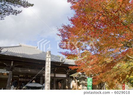 Inuyama City Rakumoin 6029018