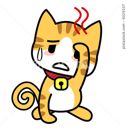 Train cat / cold Train cat / cold 6029107