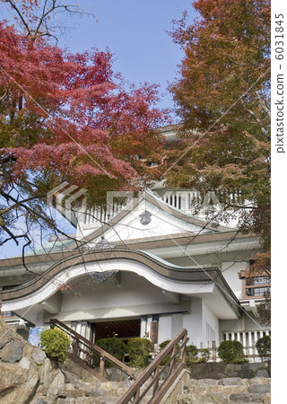 Komakiro Komakiro 6031845