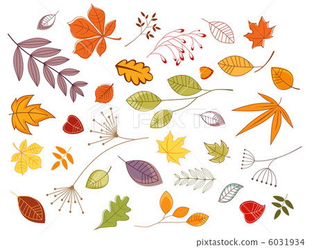 Autumnal leaves and plants Autumnal leaves and plants 6031934
