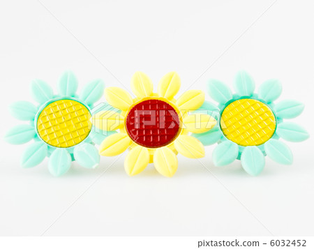 花卉推針白色背景 6032452