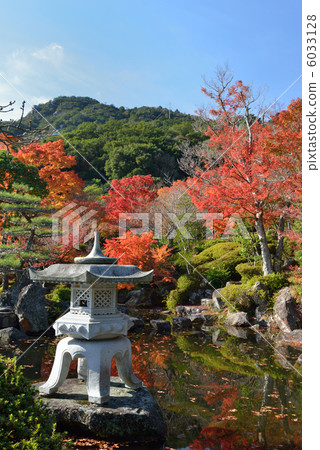 小豆島秋天和泉公園 6033128