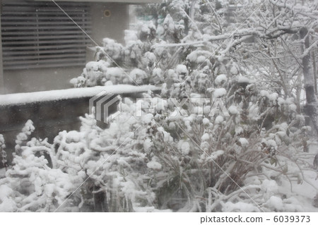 Snowstorm Snowstorm 6039373