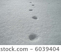 Footprints 6039404