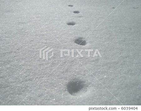 Footprints Footprints 6039404