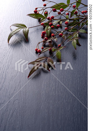 Japanese style 6039602