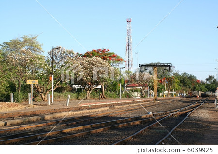 Victoria Falls Station 6039925