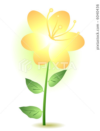 yellow lily 6040436
