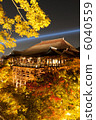 Honmyo of Kyoto Otowa / Kiyomizudera in the autumn (stage of Shimizu) light up 6040559