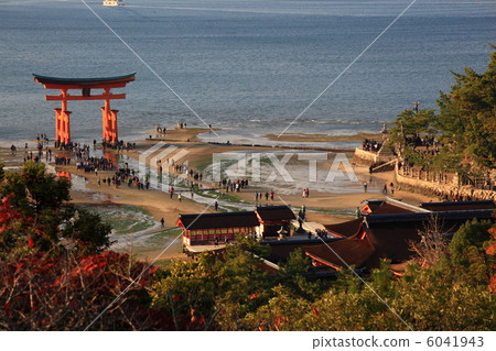 Miyajima as seen from the hill 6041943
