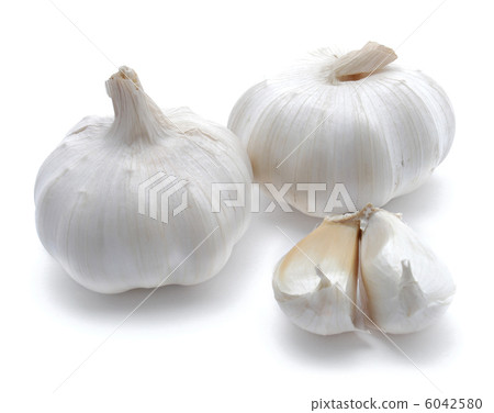 Two garlics 6042580