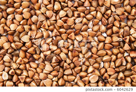 Buckwheat Buckwheat 6042629