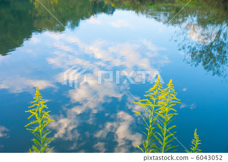 秋天的景色 6043052