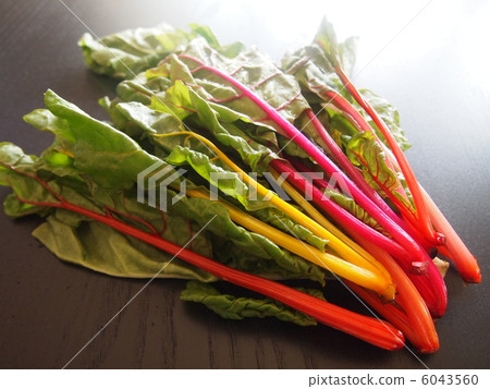 瑞士甜菜 6043560