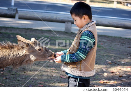 Deer and child Deer and child 6044054