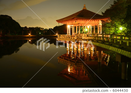 奈良公園晚上風光 6044430