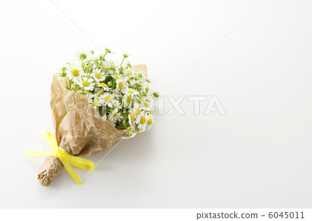 Bouquet of Matricaria Bouquet of Matricaria 6045011