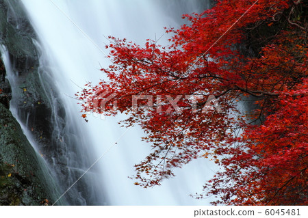 Minoo瀑佈在秋天 Minoo瀑佈在秋天 6045481