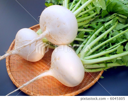 Kamikaze turnip 6045805