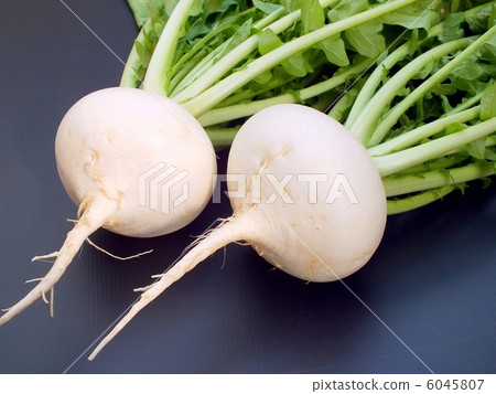 Kamikaze turnip Kamikaze turnip 6045807