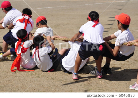 Tug of war Tug of war 6045853