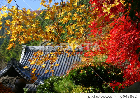 Autumn leaves of Kyoto Temple in Kyoto Autumn leaves of Kyoto Temple in Kyoto 6045862
