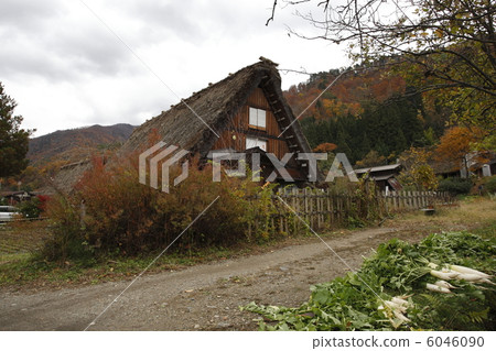 Shirakawago Shirakawago 6046090
