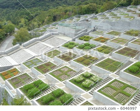 Awaji Yumebama stage hundred steps, flower beds Awaji Yumebama stage hundred steps, flower beds 6046997