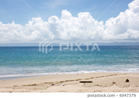 Dominican Republic Samana 6047379