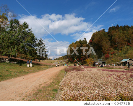 At Heavens partners At Heavens partners 6047726