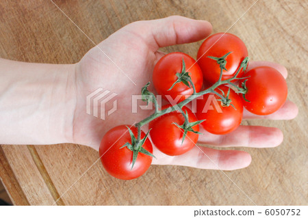 Tomatoes Tomatoes 6050752