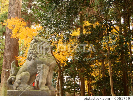 Budo Shrine幾內亞狗（Komaiimu）在Takenami-Shrine的守護獅子狗 6061759